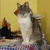 Отзыв от Инга Овчинникова
